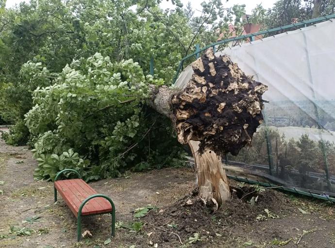 «Бернадетт» разбушевалась